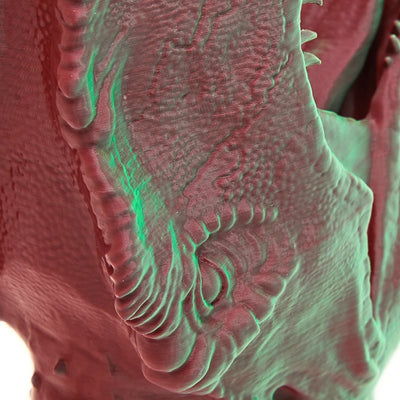 esFil PLA DUAL Rojo - Verde 1Kg 1.75 mm